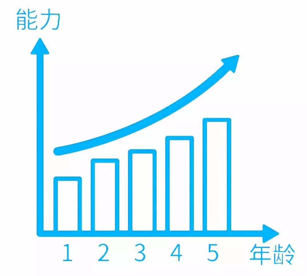 能力与年龄比例关系