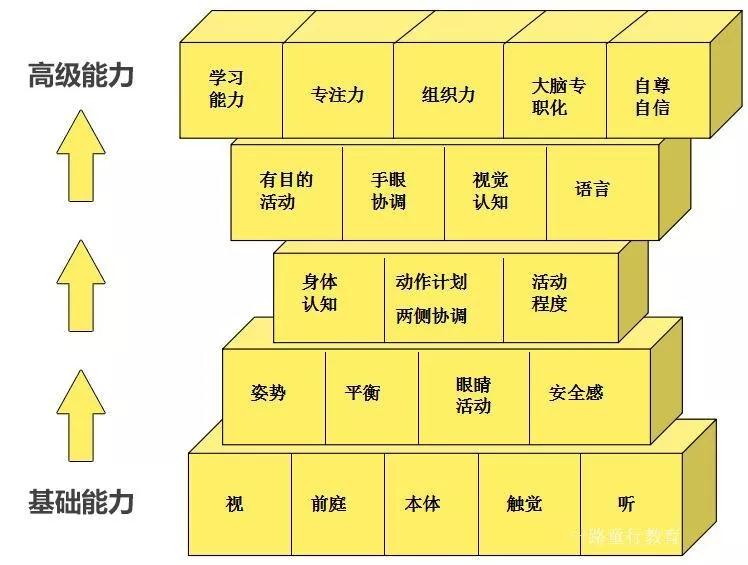 基础能力到高级能力的过程