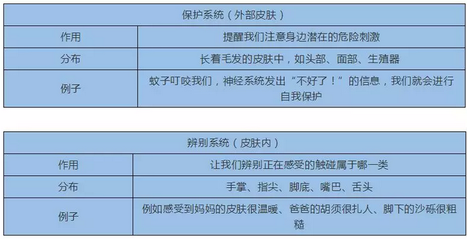 触觉保护系统和辨别系统