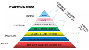 家长对感觉统合的常见误区