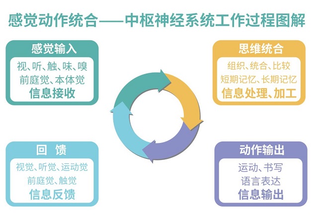 孩子注意力不集中、学习困难！有效的提升方法是什么？