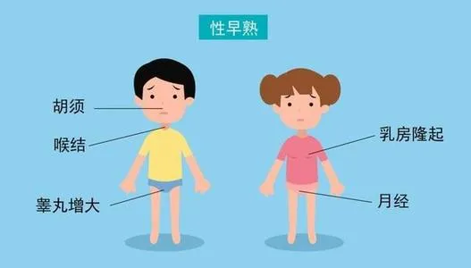 第二性征发育的表现体现为: 男孩:睾丸,阴茎增大,胡须,腋毛,阴毛出现
